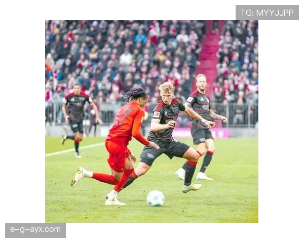 弗赖堡实力显著提升，新赛季表现亮眼引期待