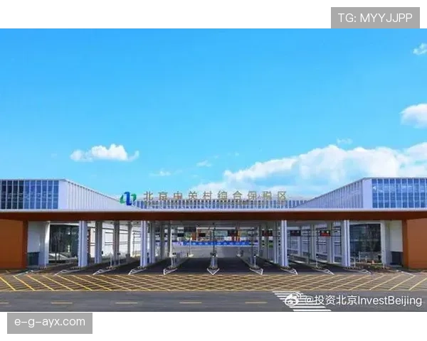 布鲁诺技术引领创新潮流,突破性方案全面破解行业痛点引关注 布鲁诺技术引领创新潮流,突破性方案全面破解行业痛点引关注