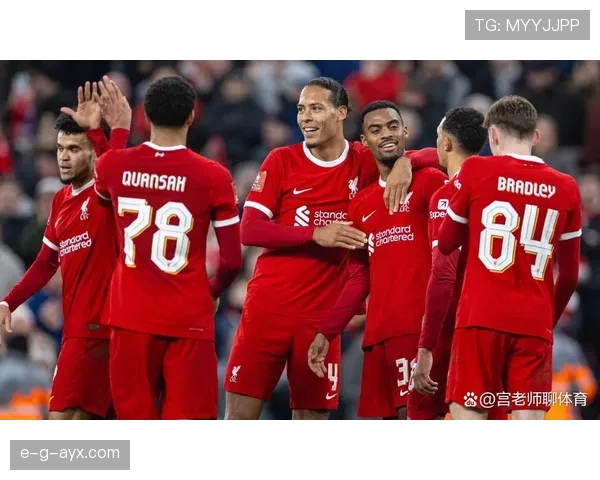 德甲球队转会代表